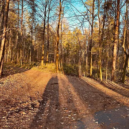 Διαμέρισμα Orzechowy Raj Ustroń