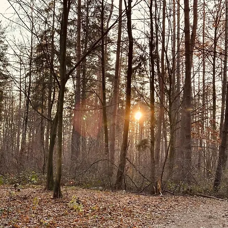 Orzechowy Raj Apartment *