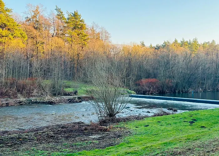 Orzechowy Raj * אוסטראון