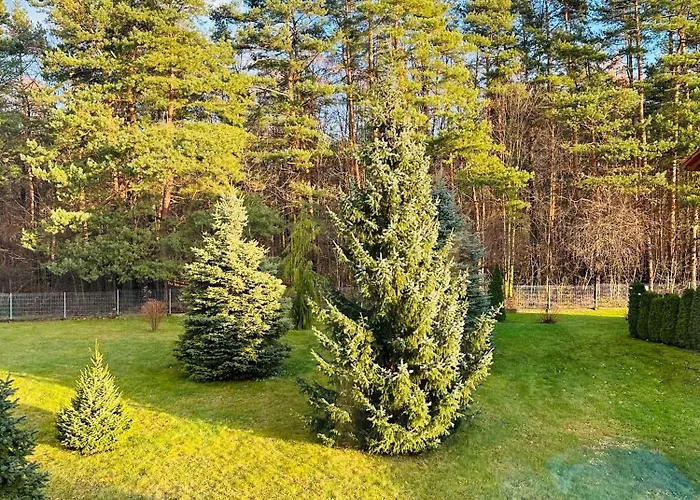 Orzechowy Raj דירה