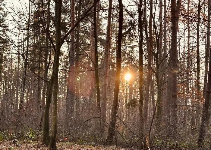 Orzechowy Raj דירה *